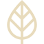 100% Ayurvedic & Natural